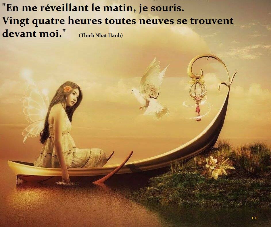 Jolie Citation